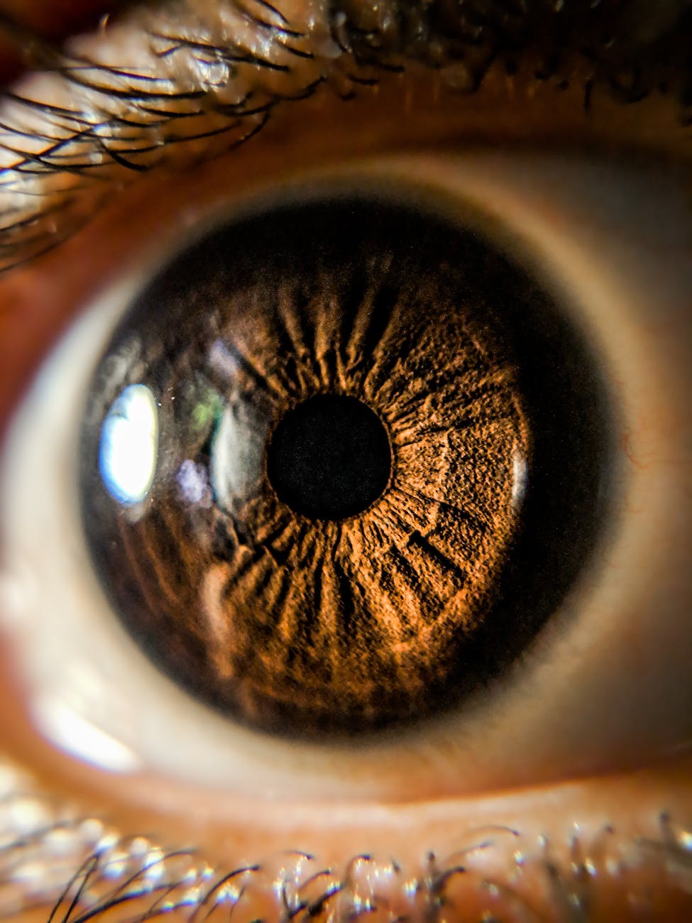 Œil avec l'iris marron vu de très près, avec un reflet sur la partie supérieure gauche